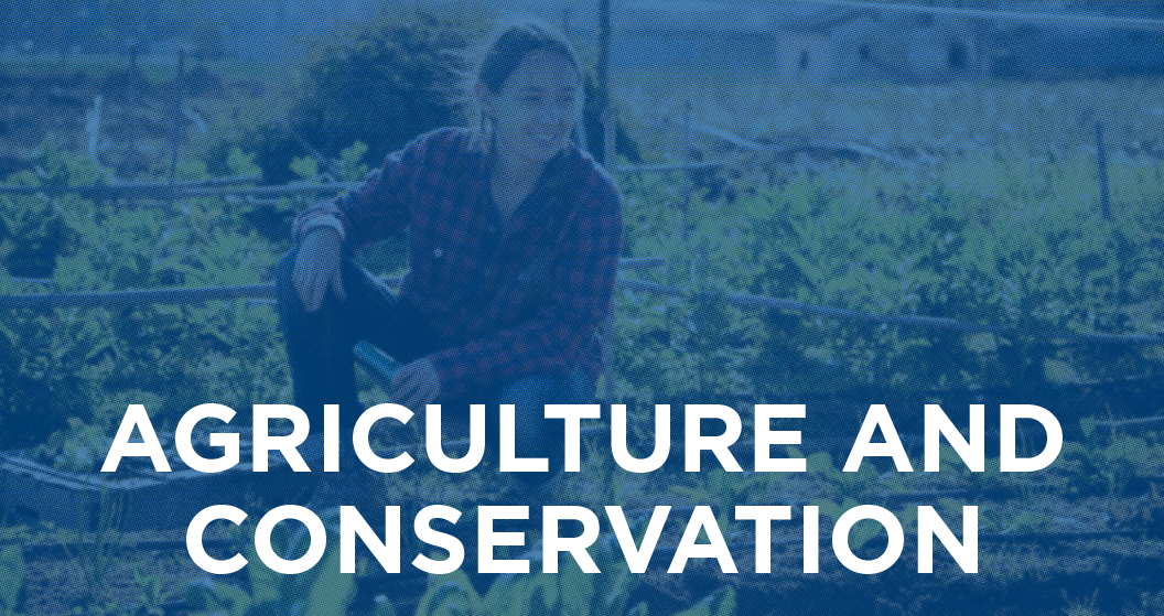 Agriculture and Conservation
